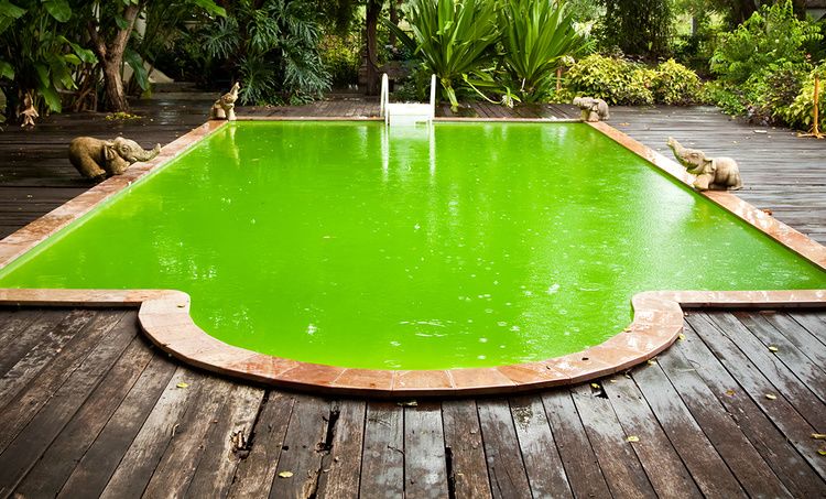 Comment rattraper une eau de piscine verte ? Comment rattraper une eau de piscine verte ?
